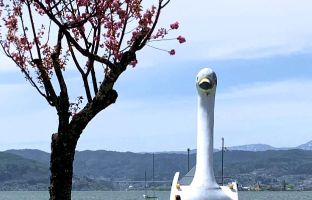 サイクロプスアヒル